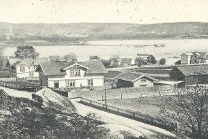 Stub nordover
