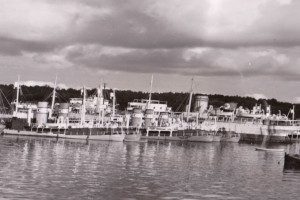 Hvalbåter i opplag