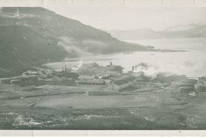 Grytviken landstadsjon.