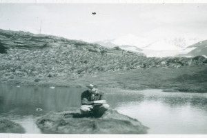 Grytviken .