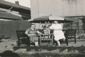 Havnekafeen