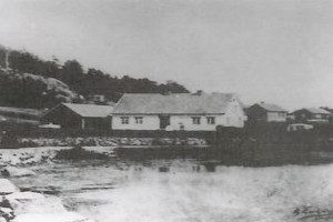 Kamfjordgata "Kleggelia"