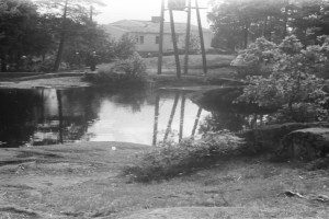 Hauandammen