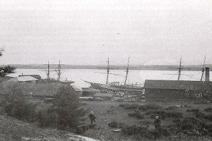 Gonvika
