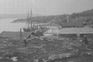 Framnesveien -  Gonvika