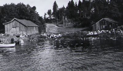 Vesterøyveien / Fjellvikverven