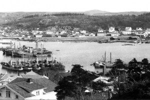 Kamfjordgata