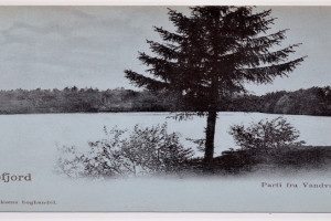 Bugårdsparken - dammen(e)
