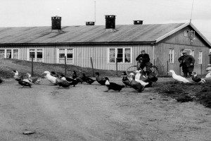 TYSKERBRAKKER OG BUNKER