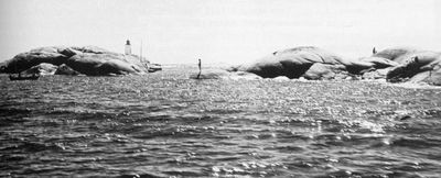 Holtskjæra