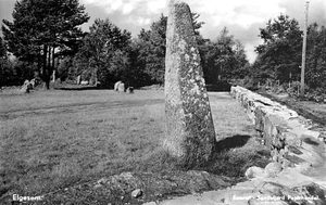 Elgesem