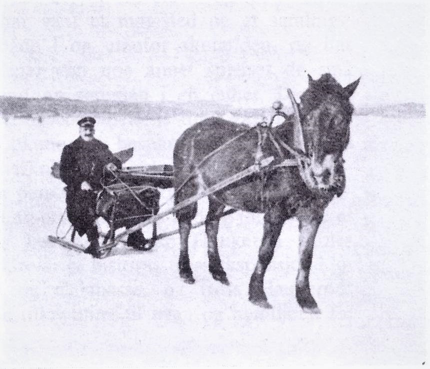 Haukerød - Post