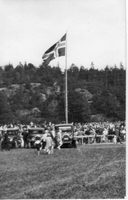 Gogstadhaugen