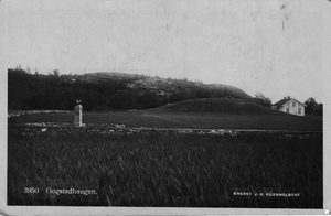 Gogstadhaugen