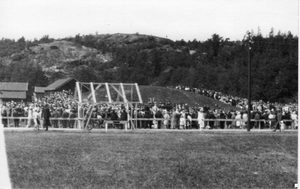 Gogstadhaugen