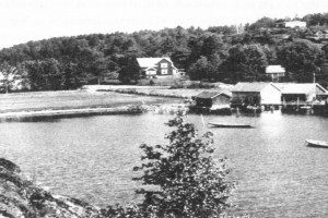 Tangenbukta