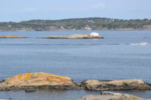 Beinskjæra