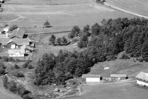 Bø / Åsrumveien