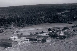 Haughem-gårdene 1940