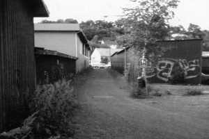 Bayer Street