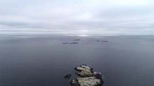 Dronebilder av Folehavna