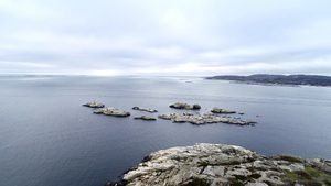 Dronebilder av Folehavna