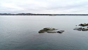 Dronebilder av Folehavna