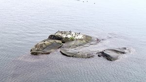 Dronebilder av Folehavna