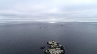 Dronebilder av Folehavna