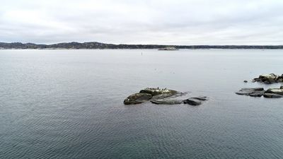 Dronebilder av Folehavna