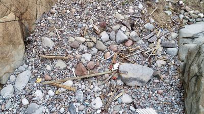Dronebilder av Folehavna