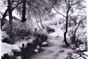MODALEN - BEKKEFAR OG INNFARTSVEI