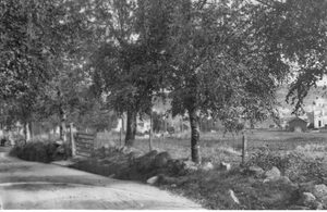 Kjellbergveien div