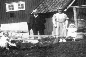 Gårdsbruk Auve nedre