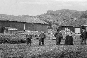 Gårdsbruk Buer østre