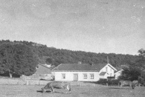 Gårdsbruk Ormestad vestre