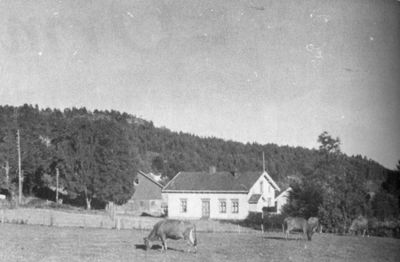 Ormestad vestre