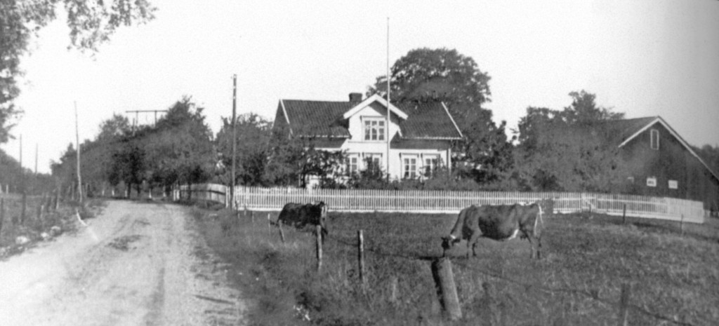 Gårdsbruk Johannessens gård på Vindal