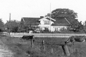 Gårdsbruk Johannessens gård på Vindal