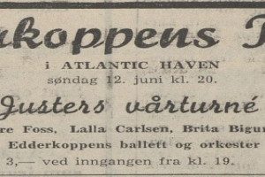 Underholdning i Tic-Haven