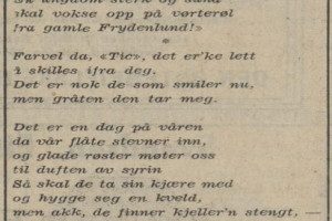 Underholdning i Tic-Haven