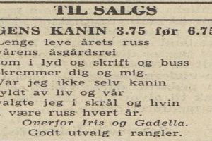 Dagens Kanin
