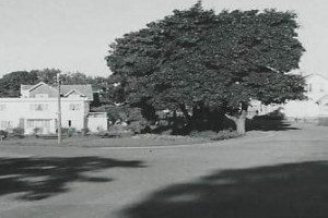 Skiringssalsveien 35