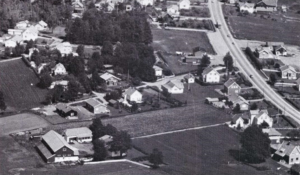 Elgesem