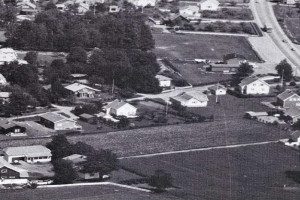 Elgesem