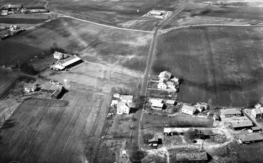Skolmerød og Solberg