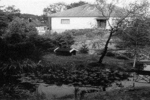 Hauanveien 25
