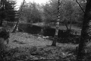 Vardeveien 20