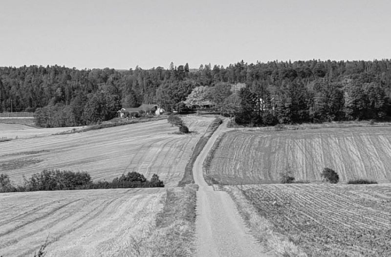 GÅRDER PÅ FEVANG