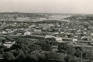 Rosenvolds gate 19 - Rønnings Trelast